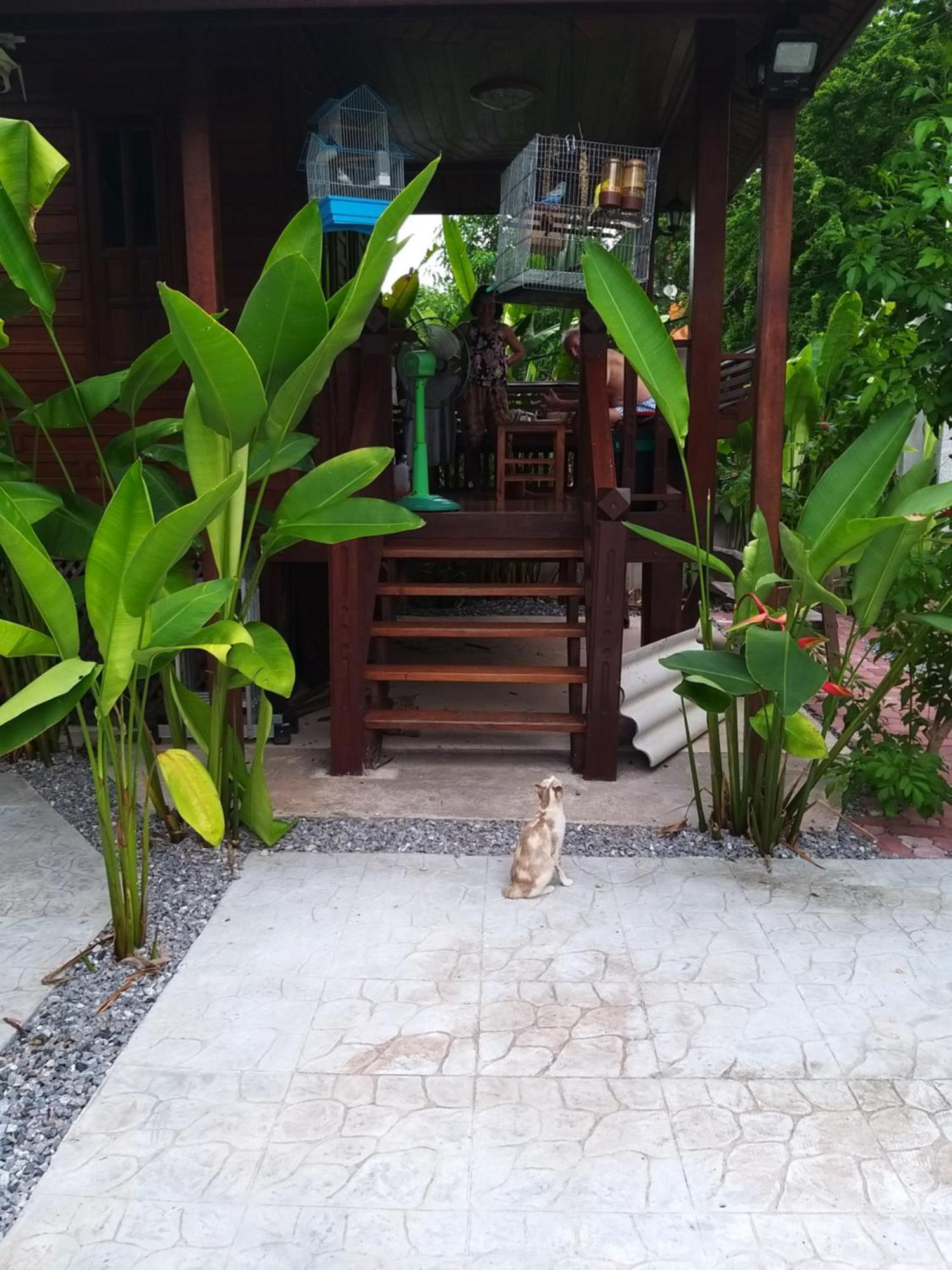บ้านทะเลอิ่มเอม Bann Talay Im Eimm Banphe Kültér fotó